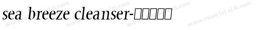 sea breeze cleanser字体转换